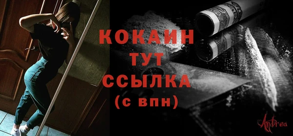 мдпв Вяземский