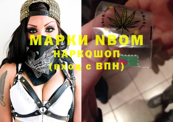 мдпв Вяземский