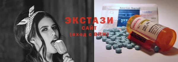 мдпв Вяземский
