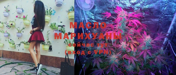 мдпв Вяземский