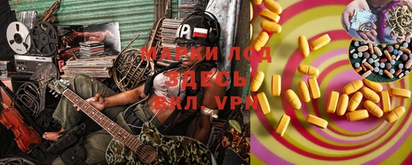 стаф Козловка