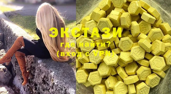 мдпв Вяземский