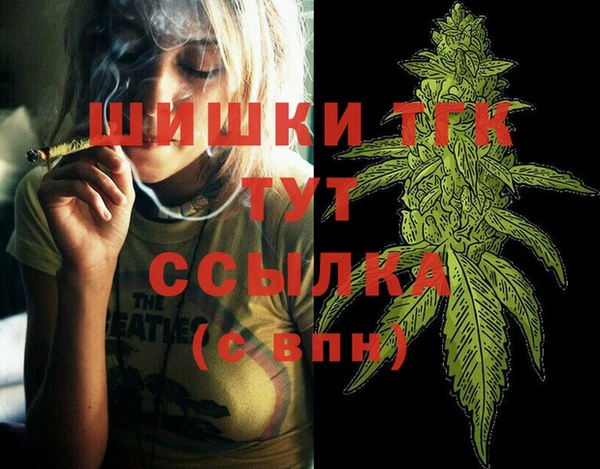 мдпв Вяземский