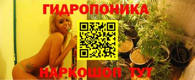 крисы Аргун