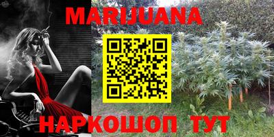 гашик Ипатово