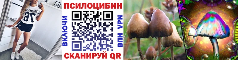 Галлюциногенные грибы Cubensis  Мценск 
